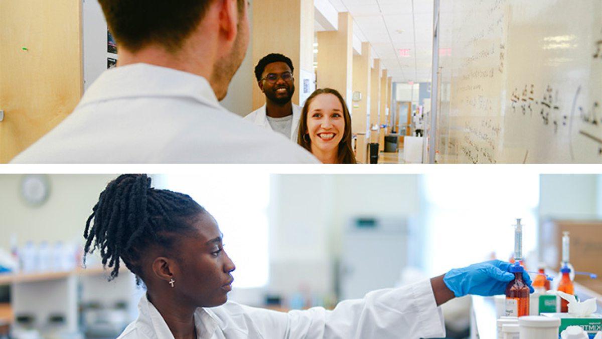 Two-photo collage: Three pharmacy students talking as a group near whiteboard in a classroom; and a researcher holding a beaker in a lab.